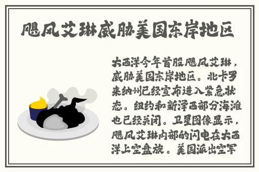 宏翔小蓝视频gy2022的特点